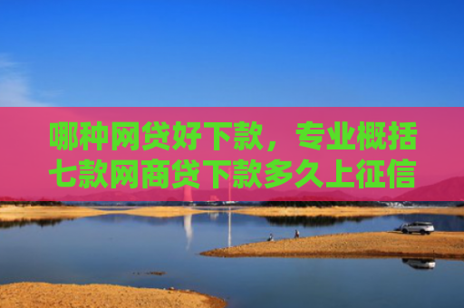 哪种网贷好下款，专业概括七款网商贷下款多久上征信