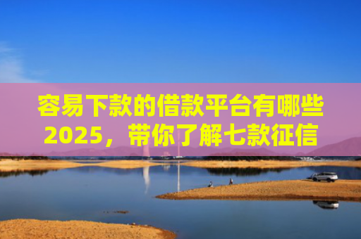 容易下款的借款平台有哪些2025，带你了解七款征信花了什么平台好下款