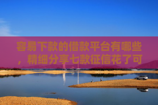 容易下款的借款平台有哪些，精细分享七款征信花了可以下款平台