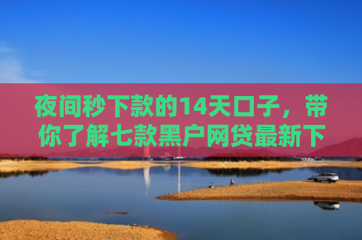 夜间秒下款的14天口子，带你了解七款黑户网贷最新下款口子