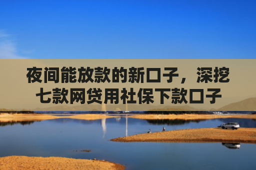 夜间能放款的新口子，深挖七款网贷用社保下款口子