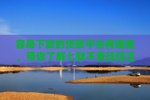 容易下款的贷款平台有哪些，带你了解七款不查征信正规下款的平台