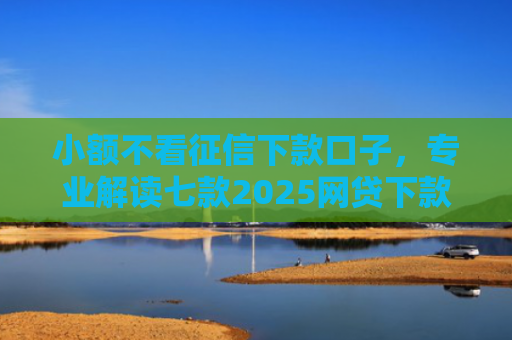 小额不看征信下款口子，专业解读七款2025网贷下款的口子