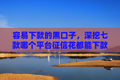 容易下款的黑口子，深挖七款哪个平台征信花都能下款