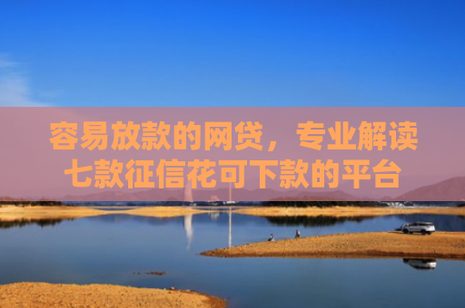 容易放款的网贷，专业解读七款征信花可下款的平台