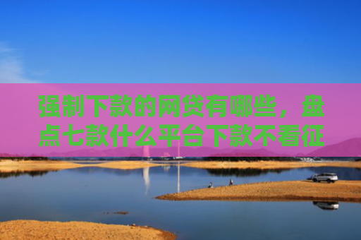 强制下款的网贷有哪些，盘点七款什么平台下款不看征信