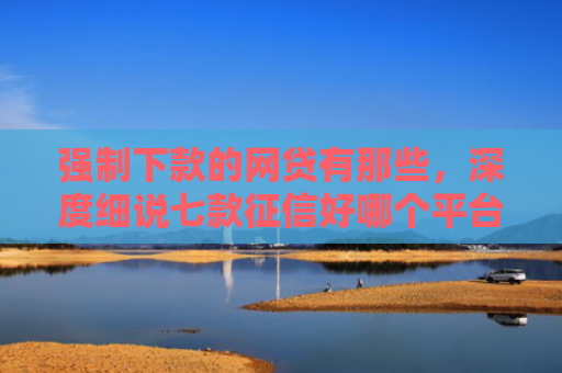 强制下款的网贷有那些，深度细说七款征信好哪个平台好下款