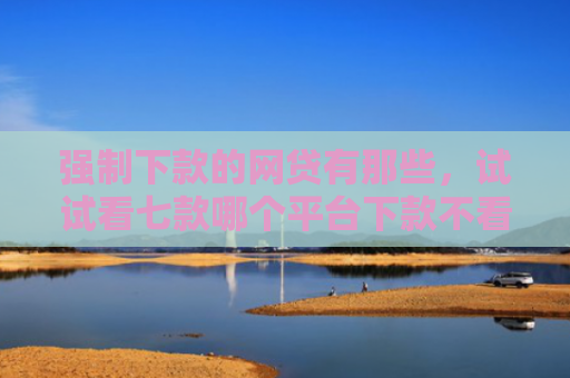 强制下款的网贷有那些，试试看七款哪个平台下款不看征信