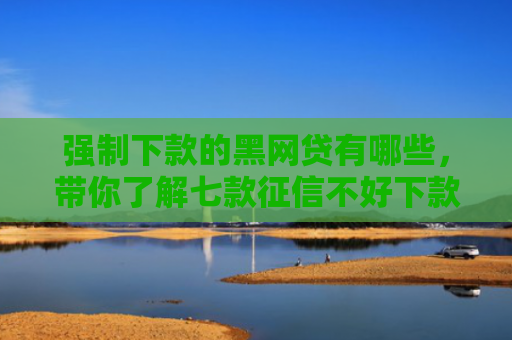 强制下款的黑网贷有哪些，带你了解七款征信不好下款容易的平台