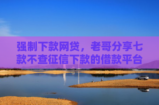 强制下款网贷，老哥分享七款不查征信下款的借款平台