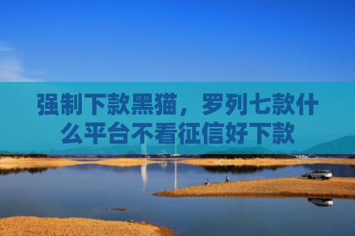 强制下款黑猫，罗列七款什么平台不看征信好下款