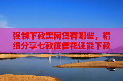 强制下款黑网贷有哪些，精细分享七款征信花还能下款的平台