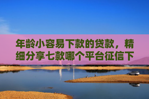 年龄小容易下款的贷款，精细分享七款哪个平台征信下款高