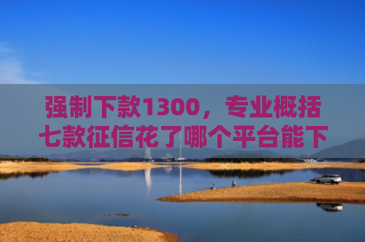 强制下款1300，专业概括七款征信花了哪个平台能下款