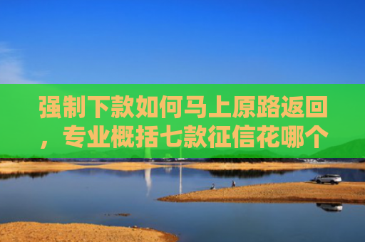 强制下款如何马上原路返回，专业概括七款征信花哪个平台必下款