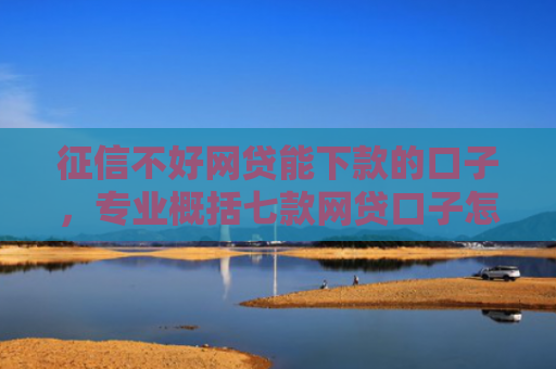 征信不好网贷能下款的口子，专业概括七款网贷口子怎么填下款高