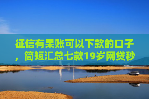 征信有呆账可以下款的口子，简短汇总七款19岁网贷秒下款口子