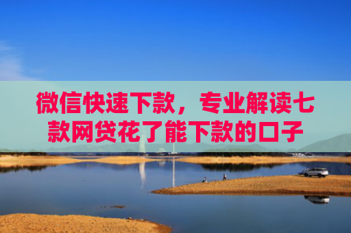 微信快速下款，专业解读七款网贷花了能下款的口子