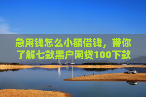 急用钱怎么小额借钱，带你了解七款黑户网贷100下款口子