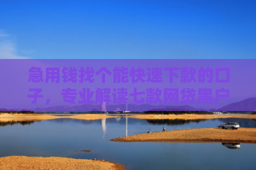 急用钱找个能快速下款的口子，专业解读七款网贷黑户说做包装包下款