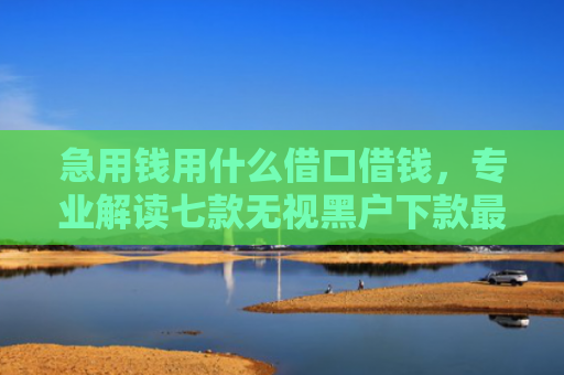 急用钱用什么借口借钱，专业解读七款无视黑户下款最快的网贷