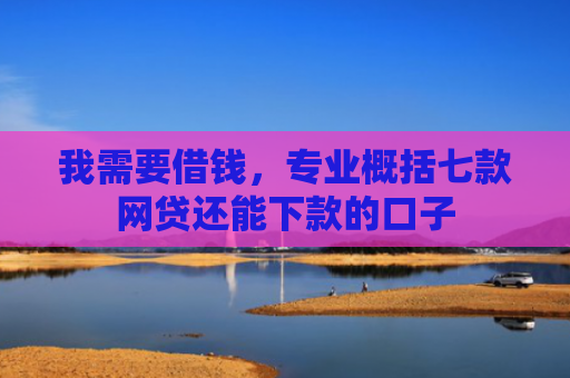 我需要借钱，专业概括七款网贷还能下款的口子