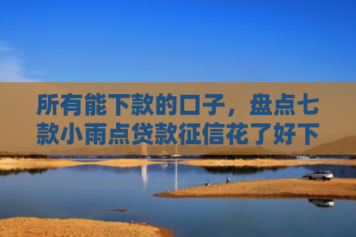 所有能下款的口子，盘点七款小雨点贷款征信花了好下款么