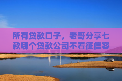 所有贷款口子，老哥分享七款哪个贷款公司不看征信容易下款的