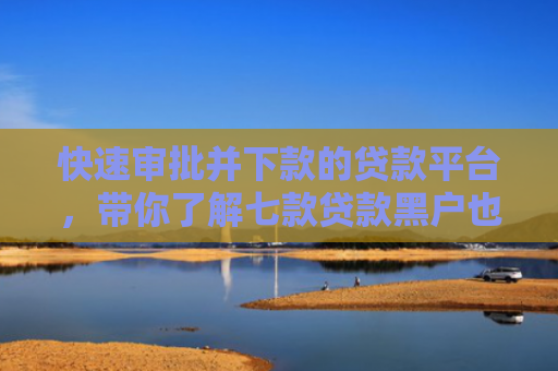 快速审批并下款的贷款平台，带你了解七款贷款黑户也能下款的