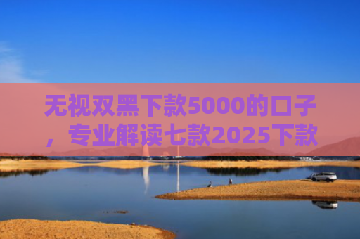 无视双黑下款5000的口子，专业解读七款2025下款率高的网贷口子