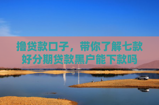 撸贷款口子，带你了解七款好分期贷款黑户能下款吗