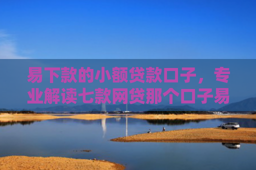 易下款的小额贷款口子，专业解读七款网贷那个口子易下款