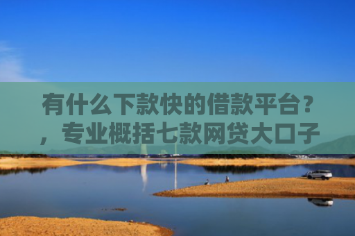 有什么下款快的借款平台？，专业概括七款网贷大口子能下款