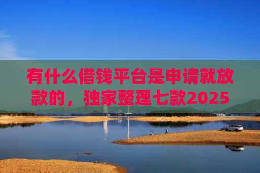 有什么借钱平台是申请就放款的，独家整理七款2025网贷必下款口子
