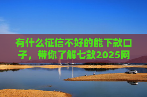 有什么征信不好的能下款口子，带你了解七款2025网贷下款的口子