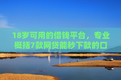 18岁可用的借钱平台，专业概括7款网贷能秒下款的口子