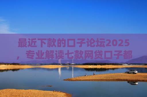最近下款的口子论坛2025，专业解读七款网贷口子都不下款了