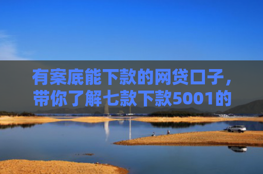 有案底能下款的网贷口子，带你了解七款下款5001的网贷口子