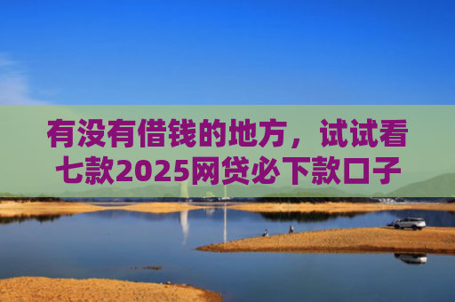 有没有借钱的地方，试试看七款2025网贷必下款口子