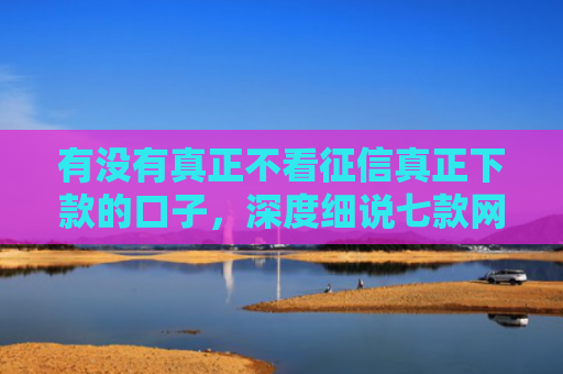 有没有真正不看征信真正下款的口子，深度细说七款网贷整顿什么口子下款