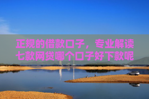 正规的借款口子，专业解读七款网贷哪个口子好下款呢