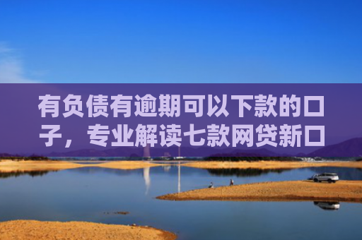有负债有逾期可以下款的口子，专业解读七款网贷新口子下款块