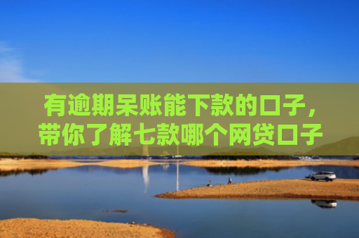 有逾期呆账能下款的口子，带你了解七款哪个网贷口子下款快