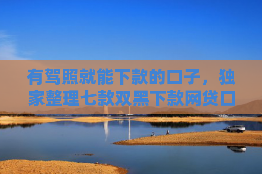 有驾照就能下款的口子，独家整理七款双黑下款网贷口子