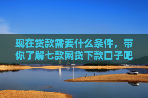 现在贷款需要什么条件，带你了解七款网贷下款口子吧