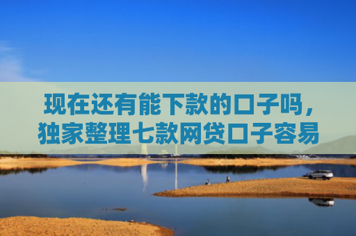 现在还有能下款的口子吗，独家整理七款网贷口子容易下款