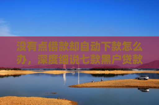 没有点借款却自动下款怎么办，深度细说七款黑户贷款额度高下款快