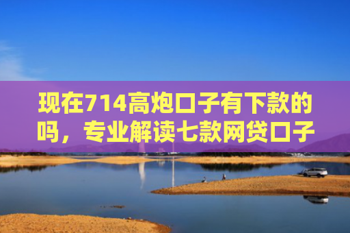现在714高炮口子有下款的吗，专业解读七款网贷口子下款图片