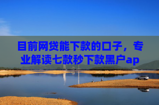 目前网贷能下款的口子，专业解读七款秒下款黑户app6
