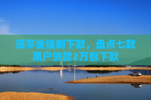 理享金强制下款，盘点七款黑户贷款2万包下款